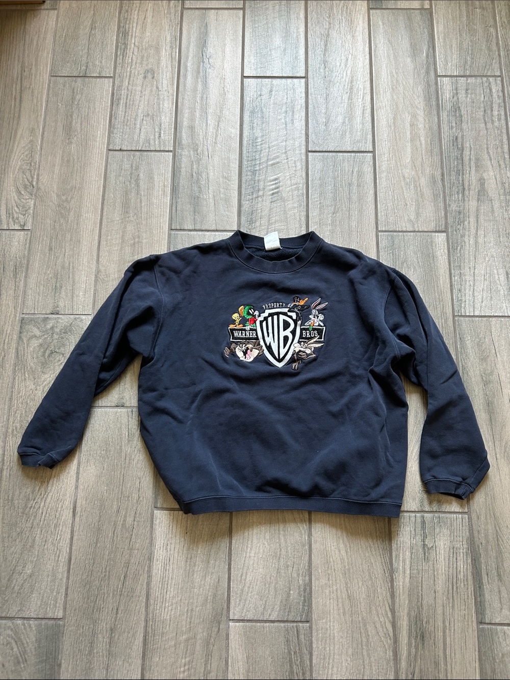 Warner Bros. Black Crewneck Sweatshirt with WB Shield and Cartoon Characters